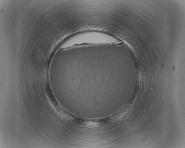 X0000081580352200702051245