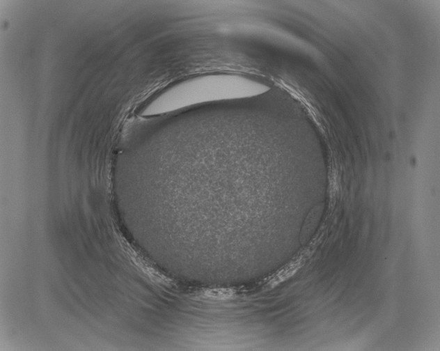 X0000081580353200702051245