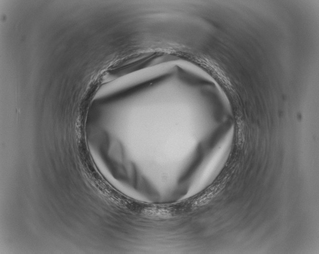 X0000081580354200702051245