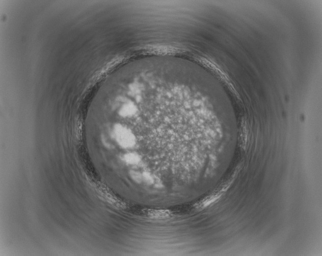 X0000081580355200702051245