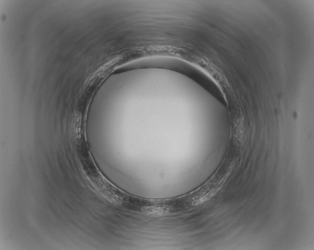 X0000081580356200702051245