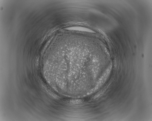 X0000081580357200702051245