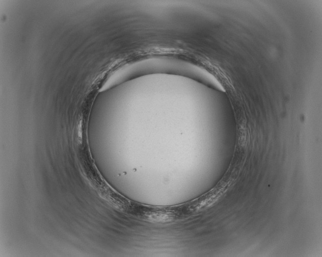 X0000081580358200702051245