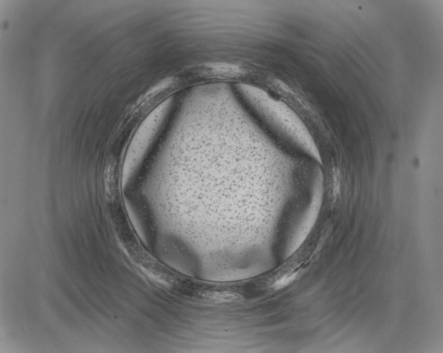 X0000081580360200702051245