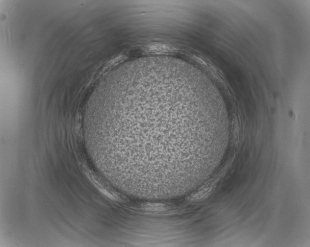 X0000081580361200702051245