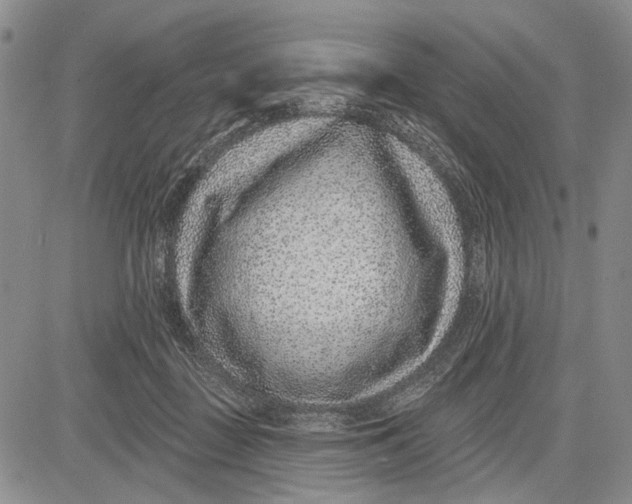 X0000081580363200702051245