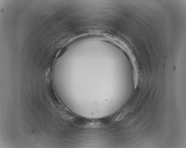 X0000081580364200702051245