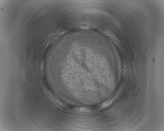 X0000081580365200702051245