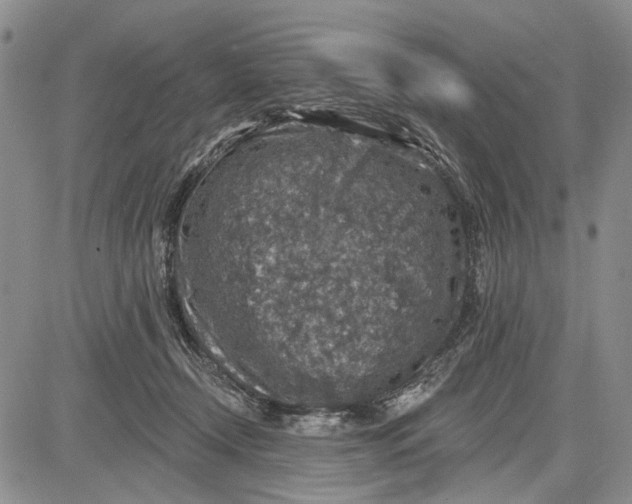 X0000081580366200702051245