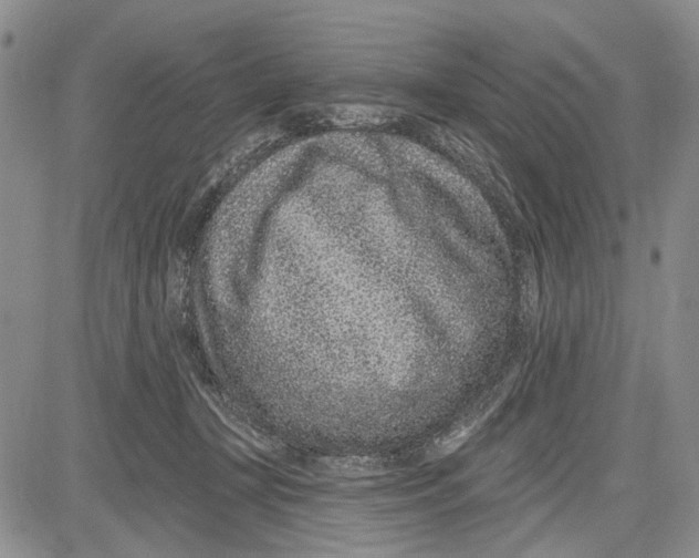 X0000081580367200702051245