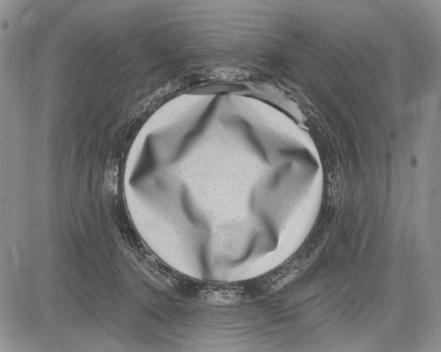 X0000081580368200702051245