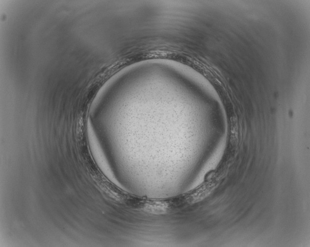 X0000081580369200702051245