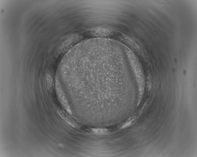 X0000081580371200702051245