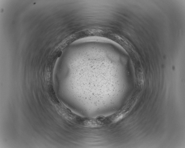 X0000081580372200702051245