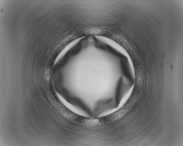 X0000081580374200702051245