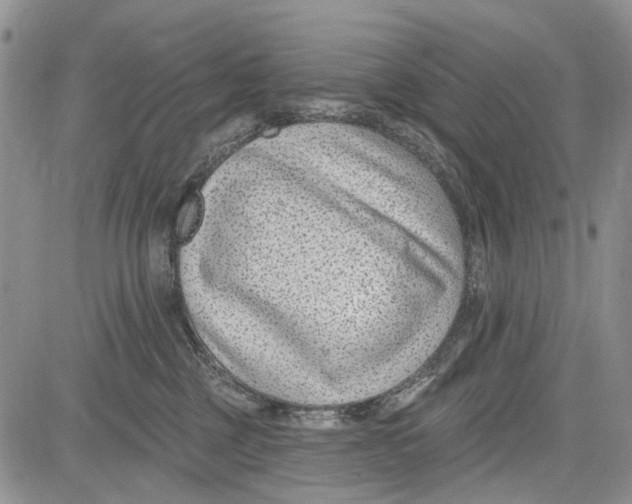 X0000081580377200702051245