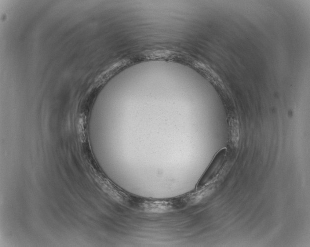 X0000081580378200702051245