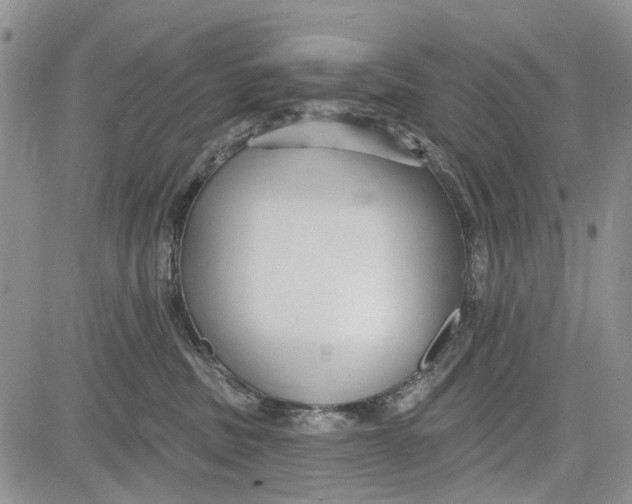 X0000081580379200702051245