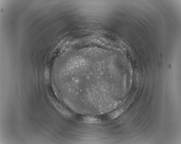 X0000081580380200702051245