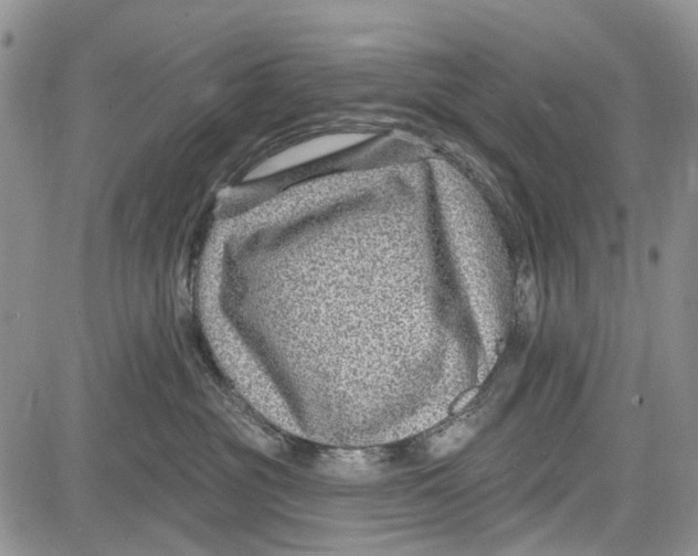 X0000081580381200702051245