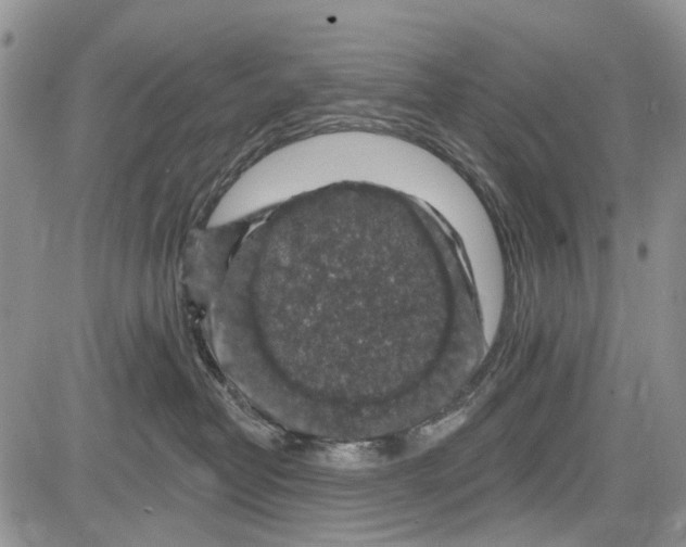 X0000081580382200702051245