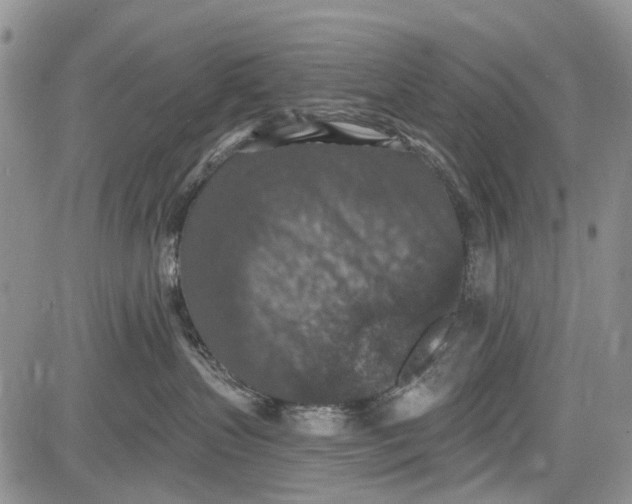 X0000081580383200702051245