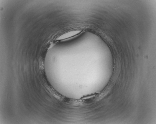 X0000081580384200702051245