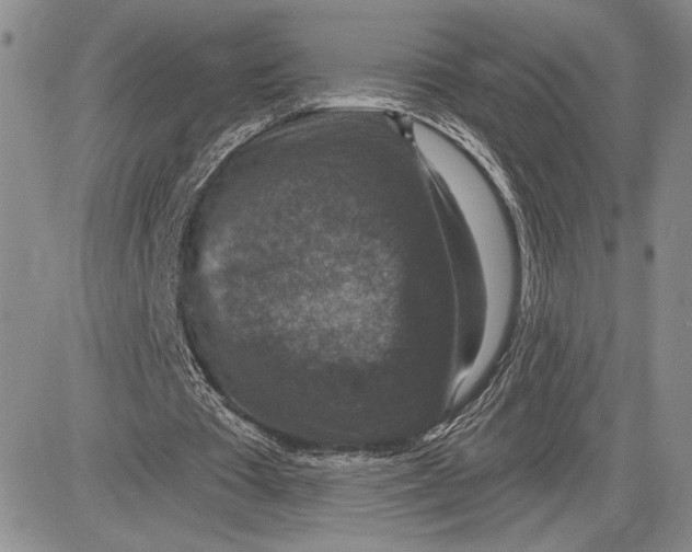 X0000081580385200702051244