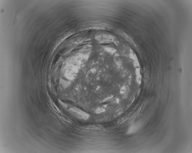 X0000081580386200702051244