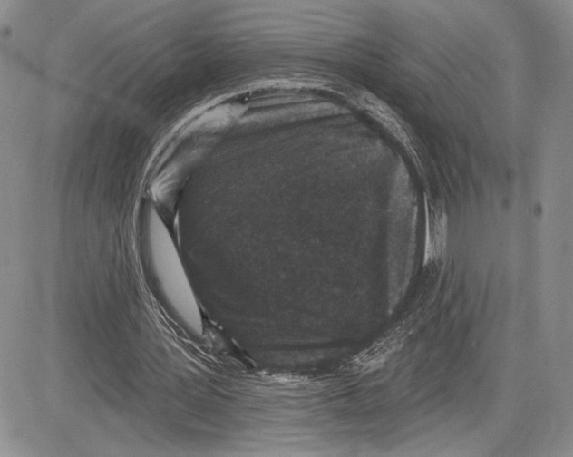 X0000081580387200702051244