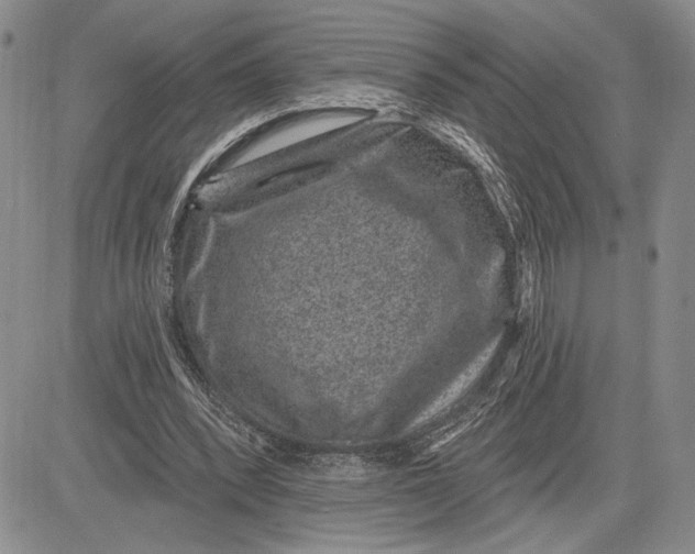 X0000081580392200702051244