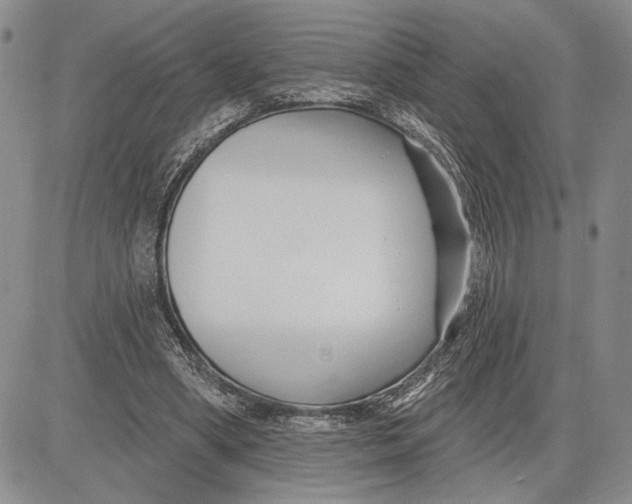 X0000081580394200702051244