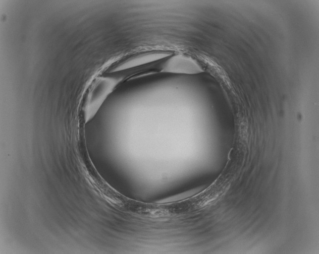 X0000081580395200702051244