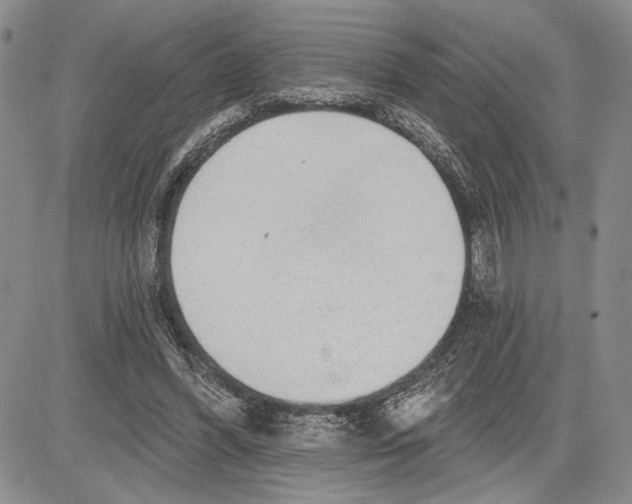 X0000081580396200702051244