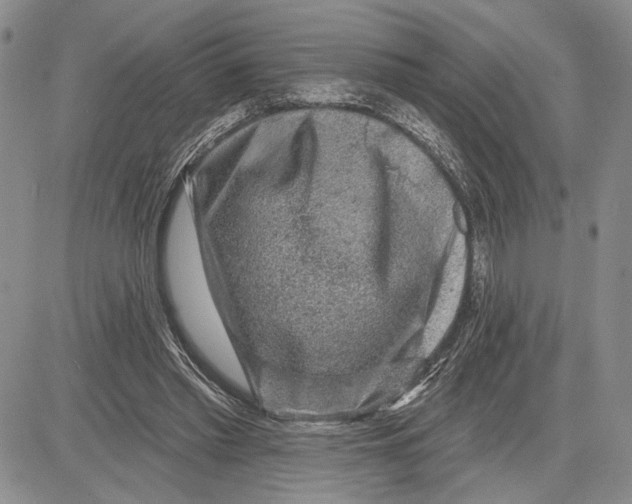 X0000081580397200702051244