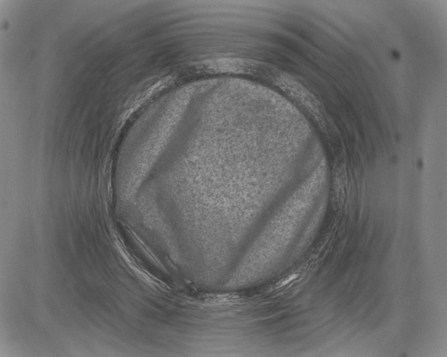 X0000081580398200702051244