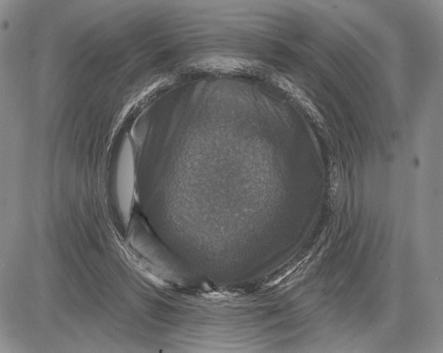 X0000081580399200702051244