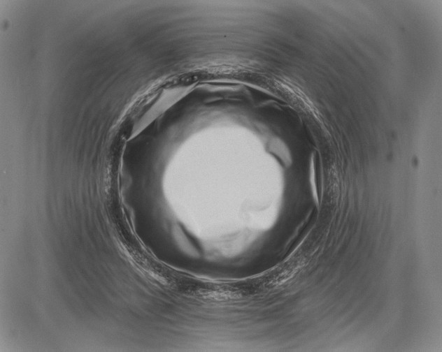 X0000081580400200702051244