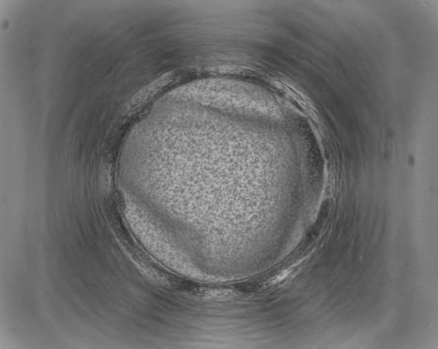 X0000081580401200702051244