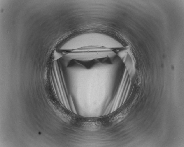 X0000081580404200702051244