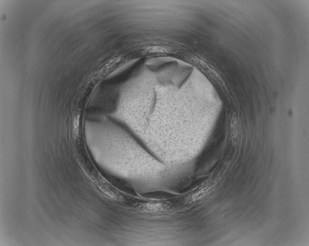 X0000081580406200702051244