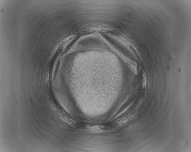 X0000081580407200702051244