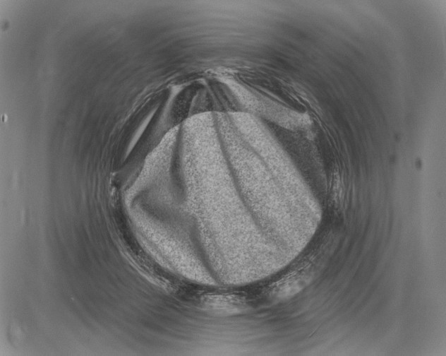 X0000081580408200702051244