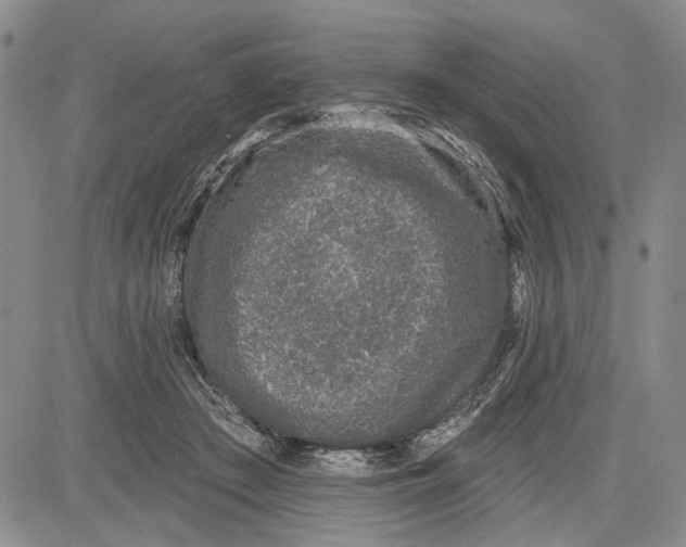 X0000081580409200702051244