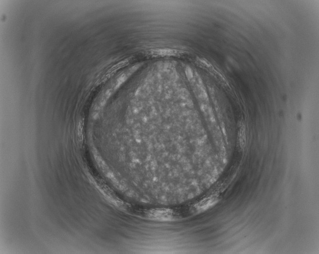 X0000081580410200702051244