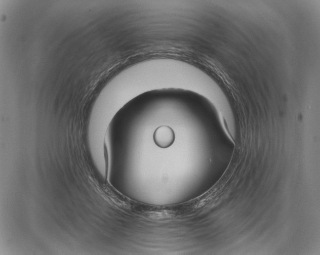 X0000081580411200702051244