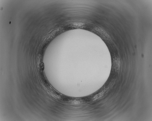 X0000081580412200702051244