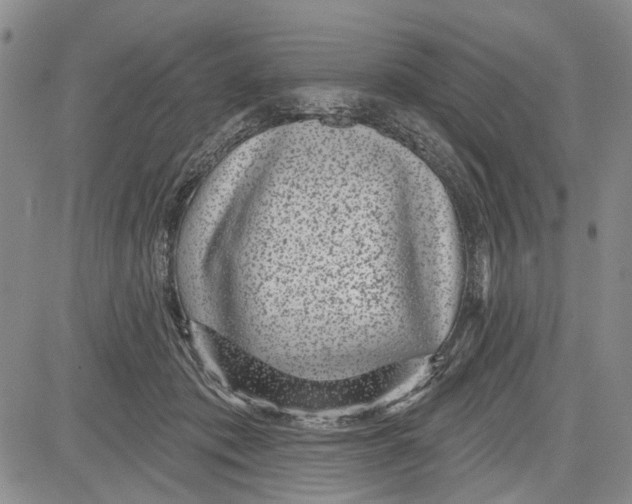 X0000081580413200702051244