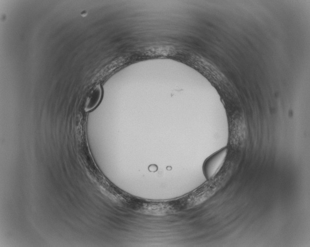 X0000081580414200702051244