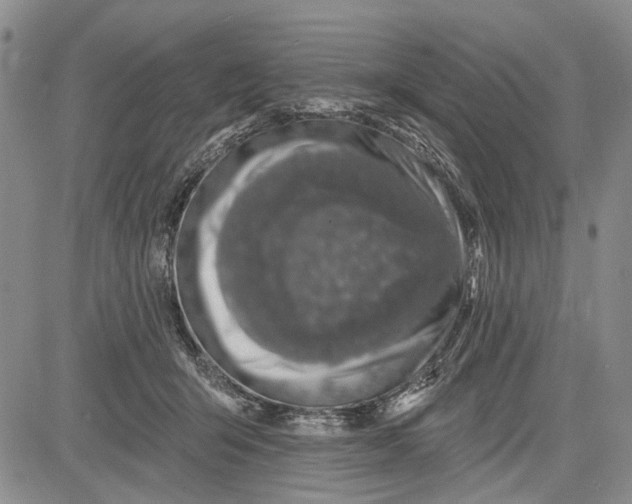 X0000081580415200702051244